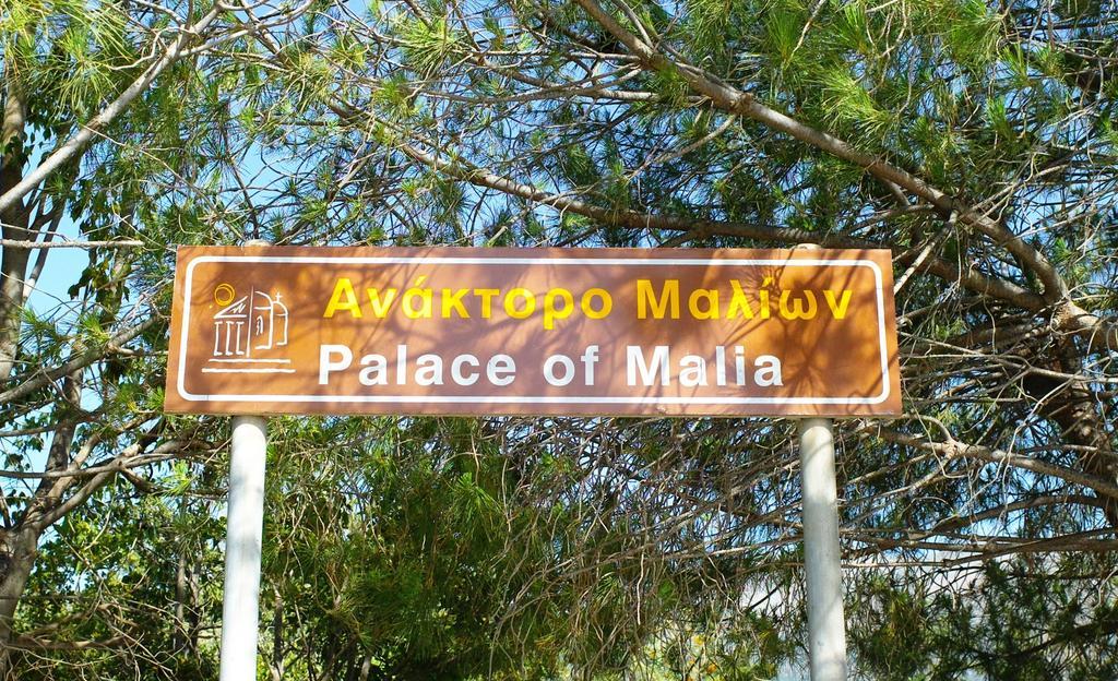 Selena View Studios Malia  Exterior photo